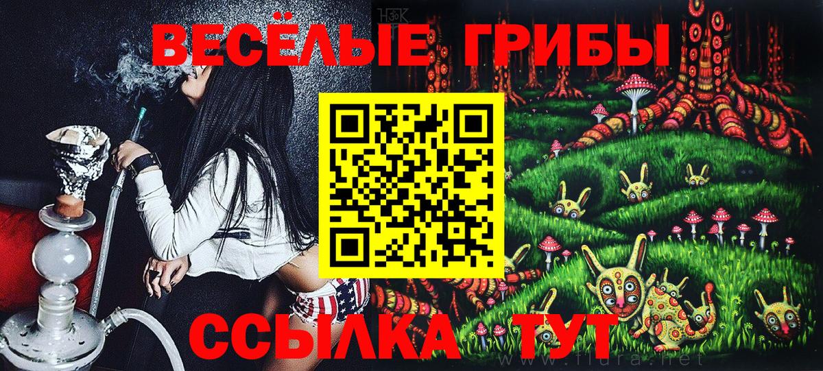 Псилоцибиновые грибы Psilocybine cubensis Можга